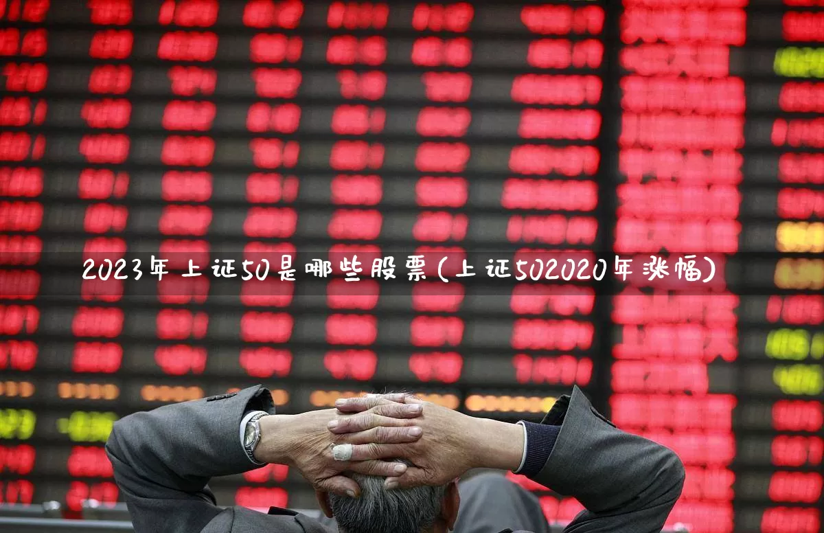 2023年上证50是哪些股票(上证502020年涨幅)_https://www.ljyuan-tech.com_科创板_第1张