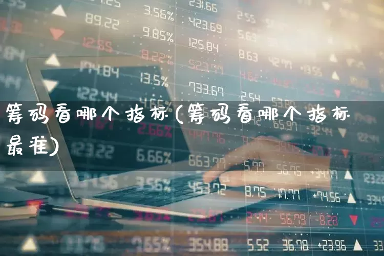 筹码看哪个指标(筹码看哪个指标最准)_https://www.ljyuan-tech.com_深交所_第1张