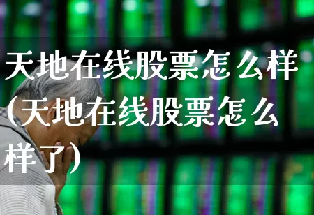 天地在线股票怎么样(天地在线股票怎么样了)_https://www.ljyuan-tech.com_深交所_第1张