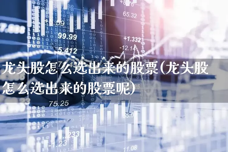 龙头股怎么选出来的股票(龙头股怎么选出来的股票呢)_https://www.ljyuan-tech.com_科创板_第1张