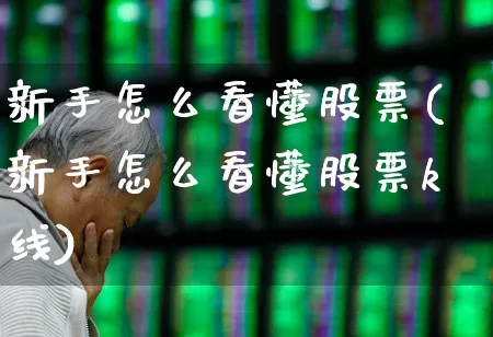 新手怎么看懂股票(新手怎么看懂股票k线)_https://www.ljyuan-tech.com_科创板_第1张