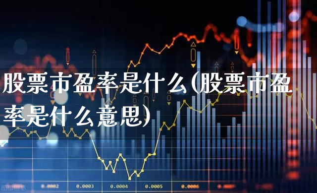 股票市盈率是什么(股票市盈率是什么意思)_https://www.ljyuan-tech.com_创业板_第1张