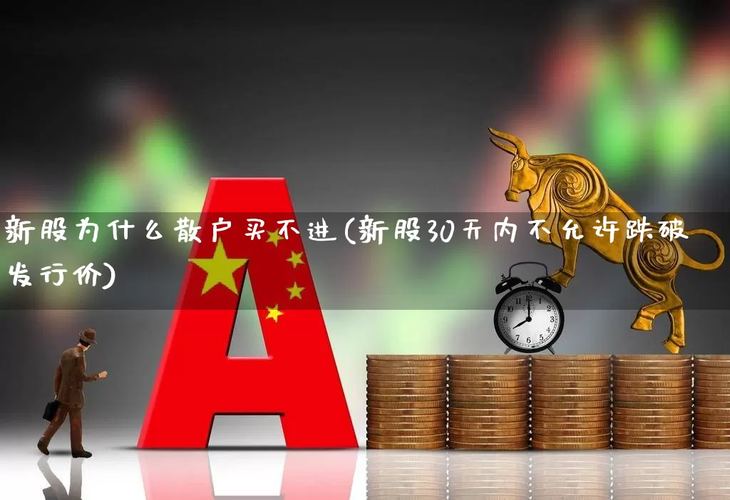 新股为什么散户买不进(新股30天内不允许跌破发行价)_https://www.ljyuan-tech.com_科创板_第1张