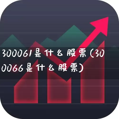 300061是什么股票(300066是什么股票)_https://www.ljyuan-tech.com_上交所_第1张