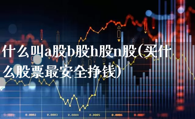 什么叫a股b股h股n股(买什么股票最安全挣钱)_https://www.ljyuan-tech.com_北交所_第1张
