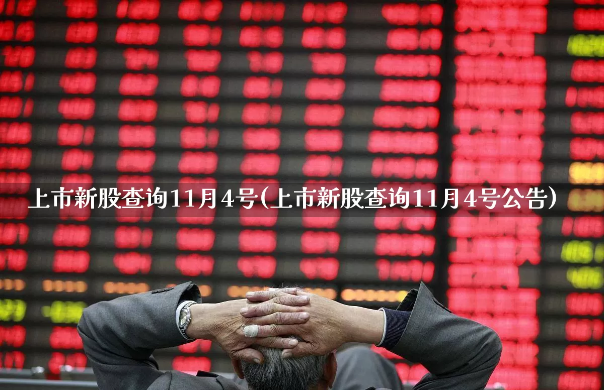 上市新股查询11月4号(上市新股查询11月4号公告)_https://www.ljyuan-tech.com_深交所_第1张