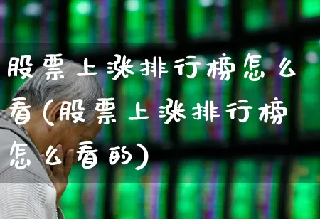 股票上涨排行榜怎么看(股票上涨排行榜怎么看的)_https://www.ljyuan-tech.com_科创板_第1张