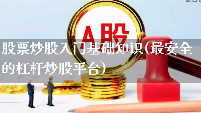 股票炒股入门基础知识(最安全的杠杆炒股平台)_https://www.ljyuan-tech.com_北交所_第1张