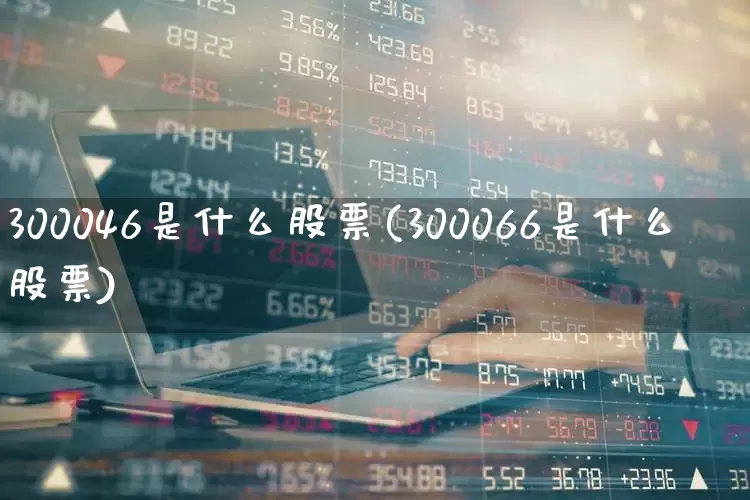 300046是什么股票(300066是什么股票)_https://www.ljyuan-tech.com_创业板_第1张