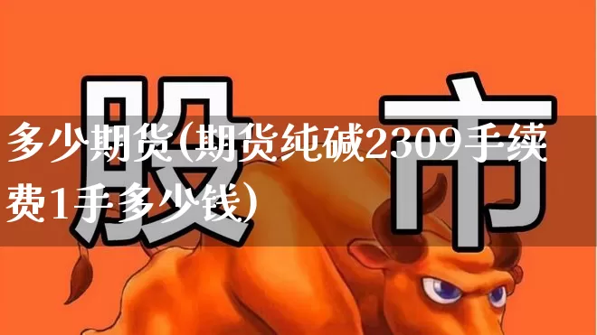 多少期货(期货纯碱2309手续费1手多少钱)_https://www.ljyuan-tech.com_上交所_第1张