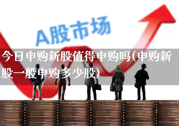 今日申购新股值得申购吗(申购新股一般申购多少股)_https://www.ljyuan-tech.com_北交所_第1张