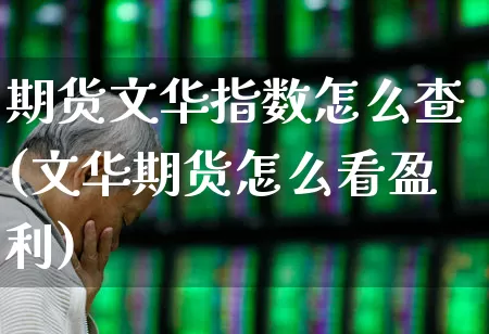 期货文华指数怎么查(文华期货怎么看盈利)_https://www.ljyuan-tech.com_北交所_第1张