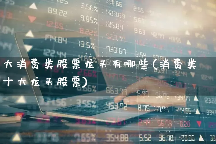 大消费类股票龙头有哪些(消费类十大龙头股票)_https://www.ljyuan-tech.com_深交所_第1张