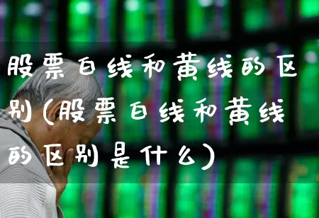 股票白线和黄线的区别(股票白线和黄线的区别是什么)_https://www.ljyuan-tech.com_上交所_第1张