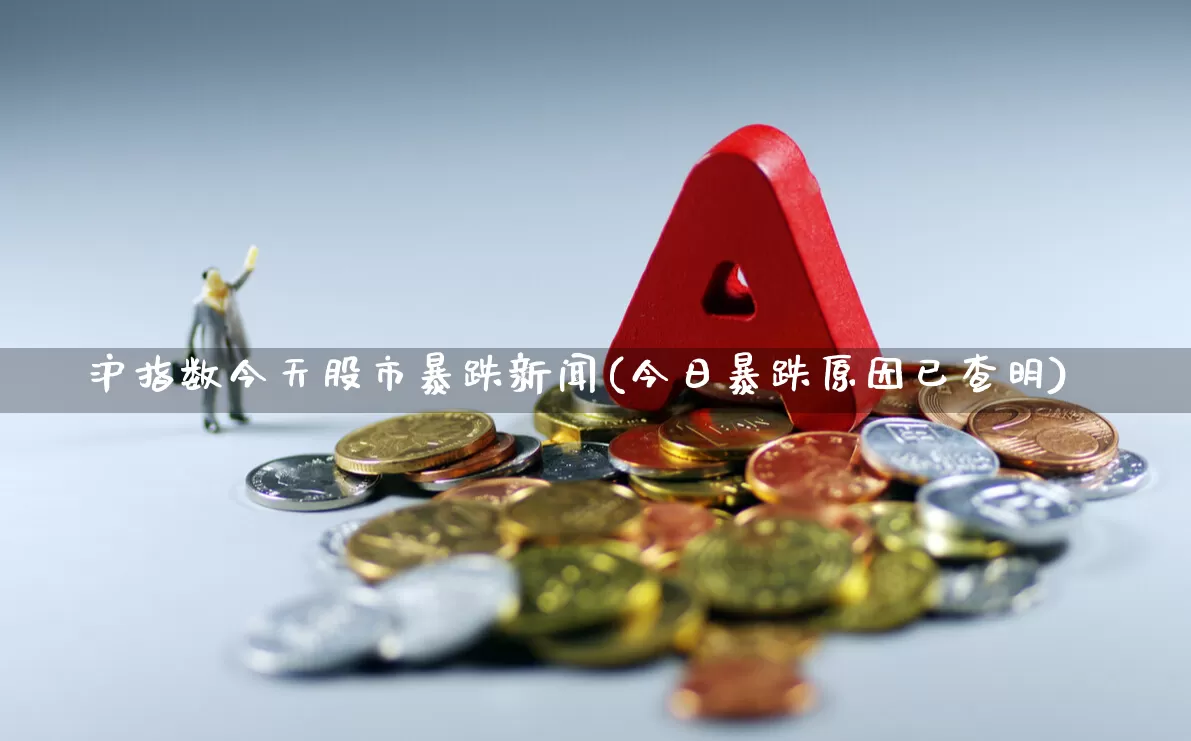 沪指数今天股市暴跌新闻(今日暴跌原因已查明)_https://www.ljyuan-tech.com_深交所_第1张