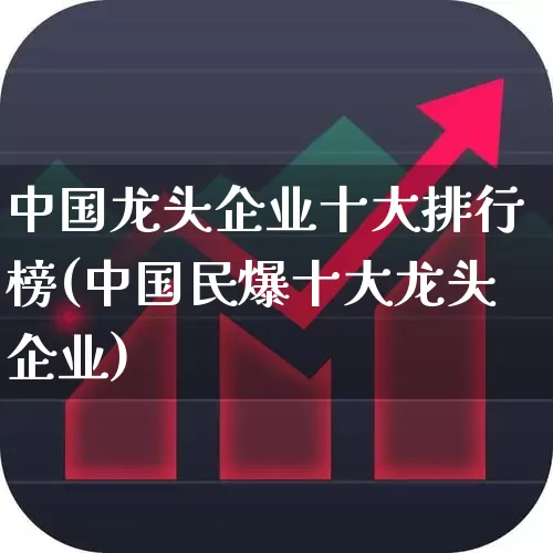 中国龙头企业十大排行榜(中国民爆十大龙头企业)_https://www.ljyuan-tech.com_创业板_第1张
