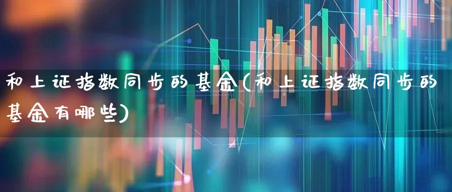 和上证指数同步的基金(和上证指数同步的基金有哪些)_https://www.ljyuan-tech.com_创业板_第1张