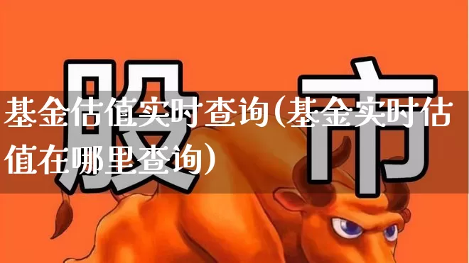 基金估值实时查询(基金实时估值在哪里查询)_https://www.ljyuan-tech.com_深交所_第1张