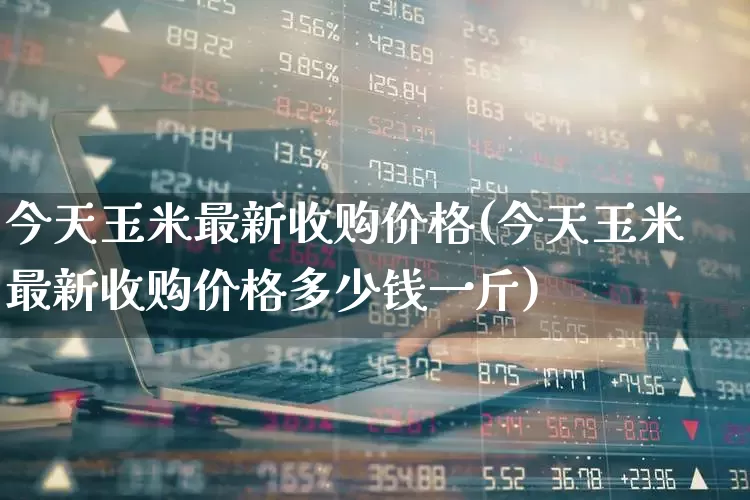 今天玉米最新收购价格(今天玉米最新收购价格多少钱一斤)_https://www.ljyuan-tech.com_创业板_第1张