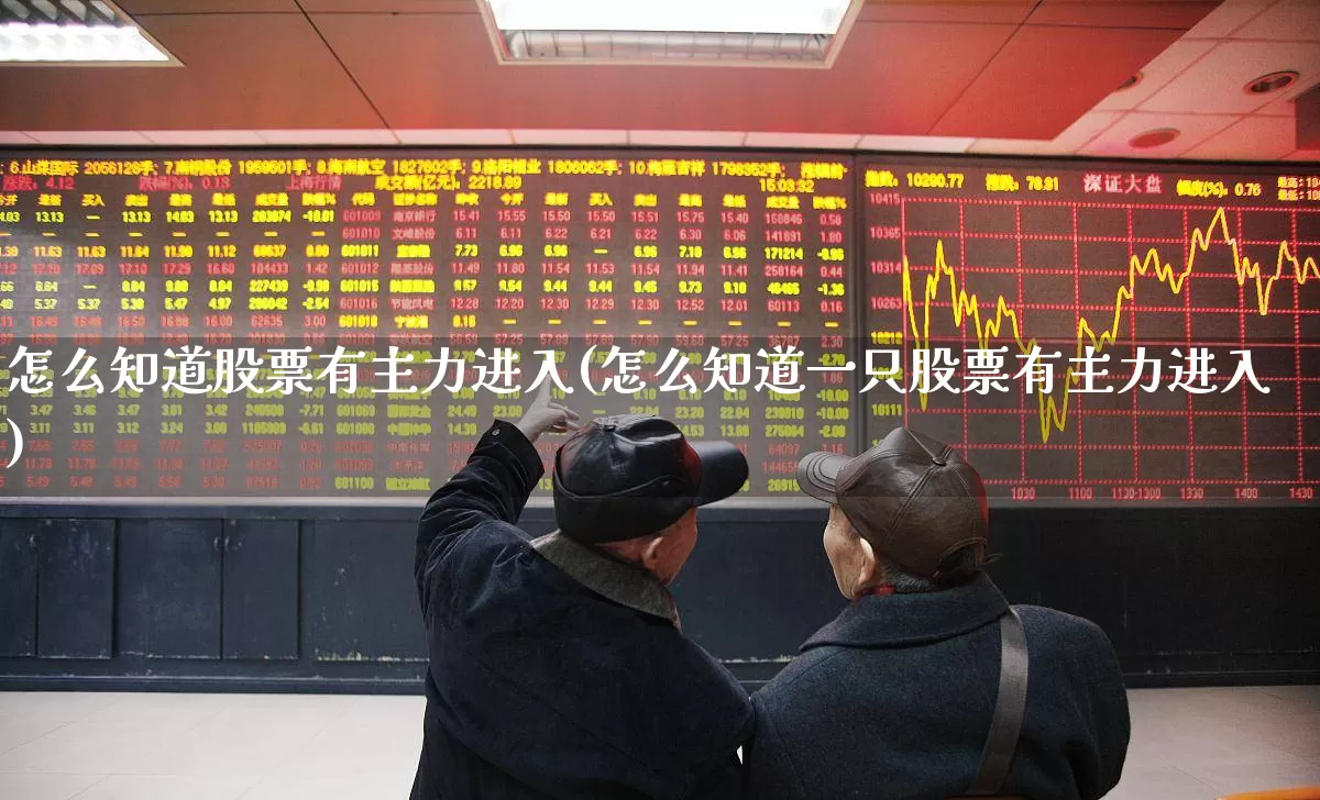 怎么知道股票有主力进入(怎么知道一只股票有主力进入)_https://www.ljyuan-tech.com_科创板_第1张