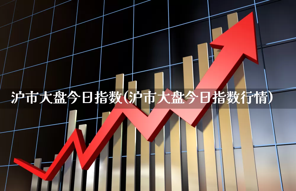 沪市大盘今日指数(沪市大盘今日指数行情)_https://www.ljyuan-tech.com_深交所_第1张