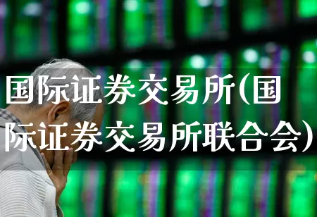 国际证券交易所(国际证券交易所联合会)_https://www.ljyuan-tech.com_北交所_第1张