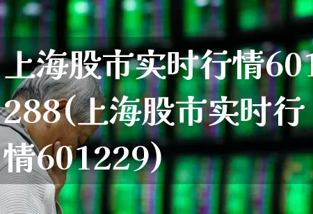上海股市实时行情601288(上海股市实时行情601229)_https://www.ljyuan-tech.com_创业板_第1张